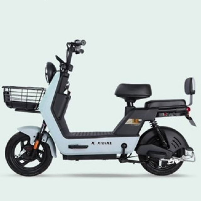 YTYIN Hochwertiges E-Bike auf  – Carbon Bike Frame Bewertung und Preis